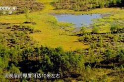 开云体育平台APP-关于白俄罗斯惨败爱沙尼亚，小组赛陷入泥潭的信息