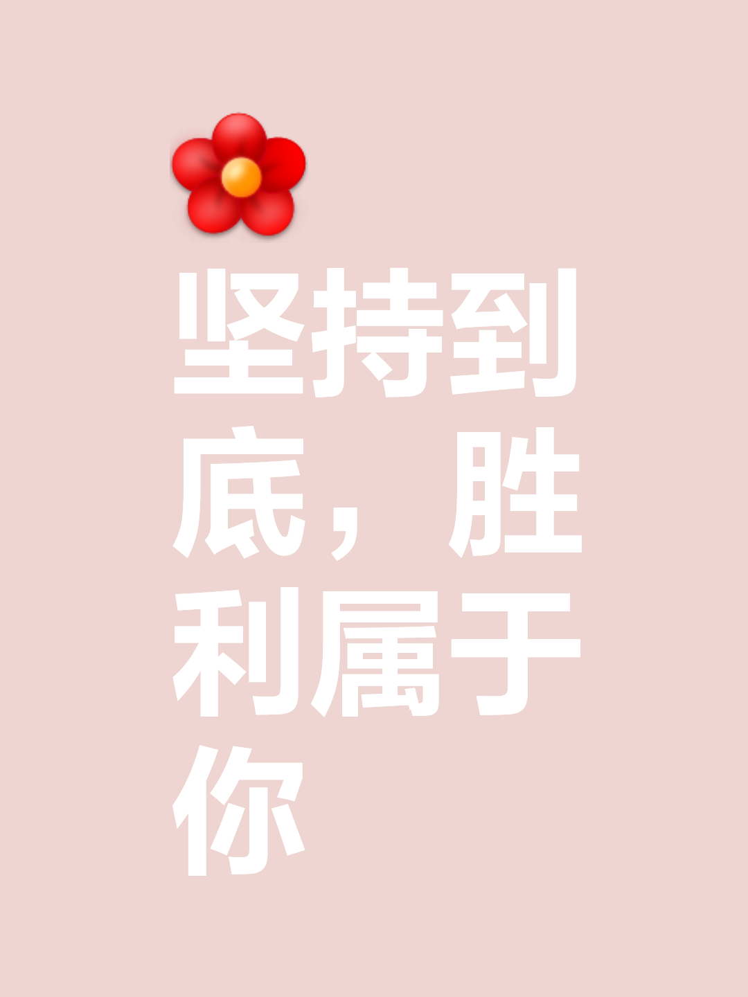 共同奋斗向胜利冲刺，实力不容小觑