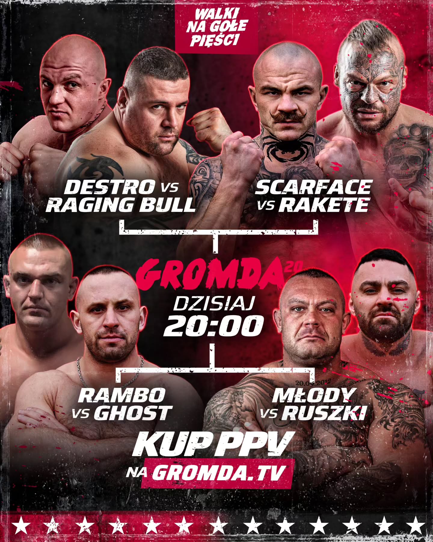 波兰国家队在胜利的道路上阻击对手的简单介绍